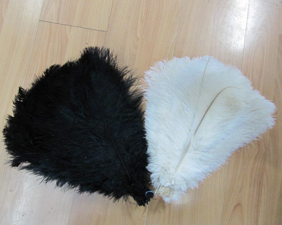 10-12inches ostrich feather 10-12inches ostrich feather