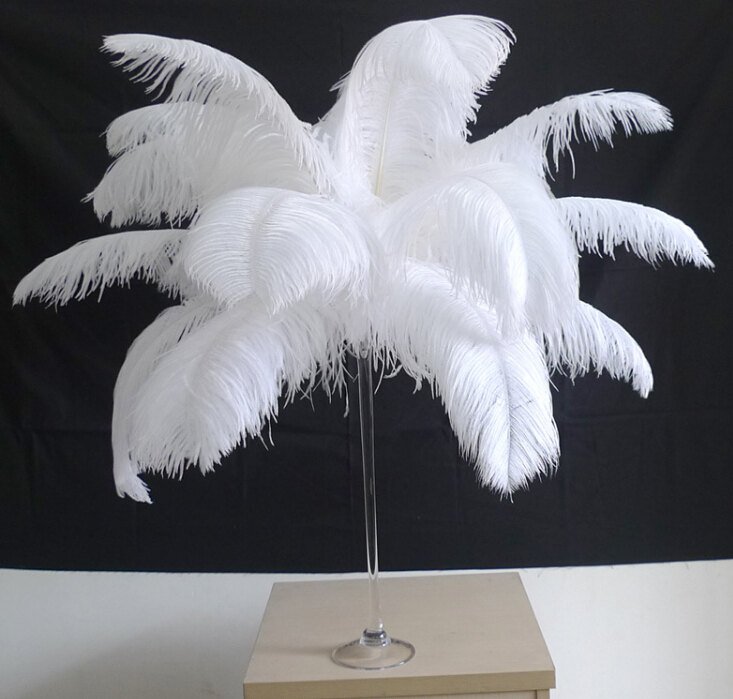 600pieces 18-20inch white ostrich feathers 600pieces 18-20inch white ostrich feathers