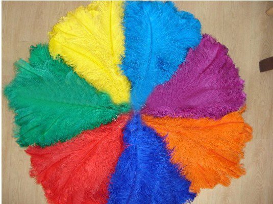 16-18inch ostrich feather 16-18inch ostrich feather