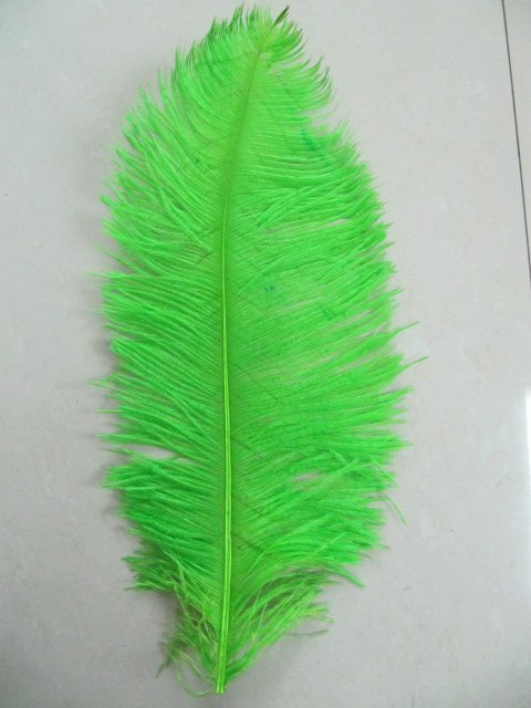 free shipping 18-20inch ostrich feather free shipping 18-20inch ostrich feather