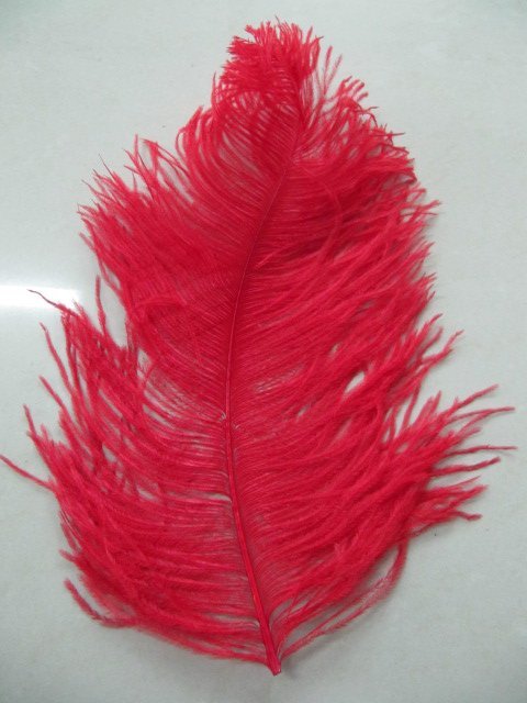 free shipping 20-22inch ostrich feather free shipping 20-22inch ostrich feather
