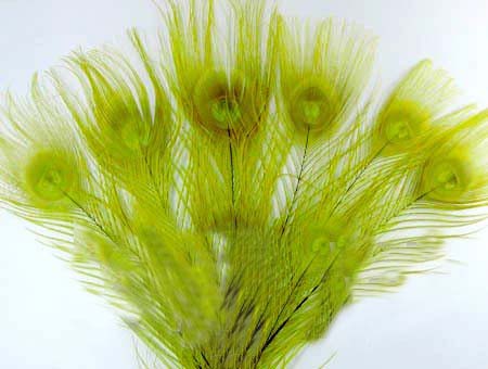 Attractive-100pcs-Dyed-yellow-peacock-tail-feathers-about-10-12inch Attractive-100pcs-Dyed-yellow-peacock-tail-feathers-about-10-12inch