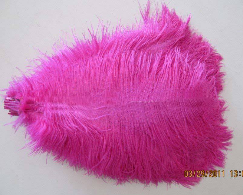 14-16-Hot-Pink-Ostrich-Feather-Plume 14-16-Hot-Pink-Ostrich-Feather-Plume