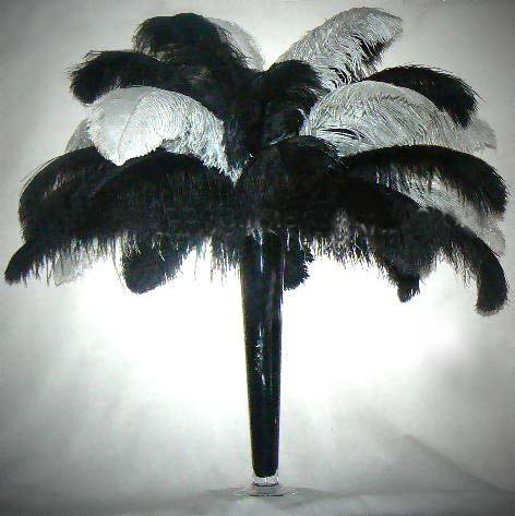 14-16-Ostrich-Plume-Feather 14-16-Ostrich-Plume-Feather